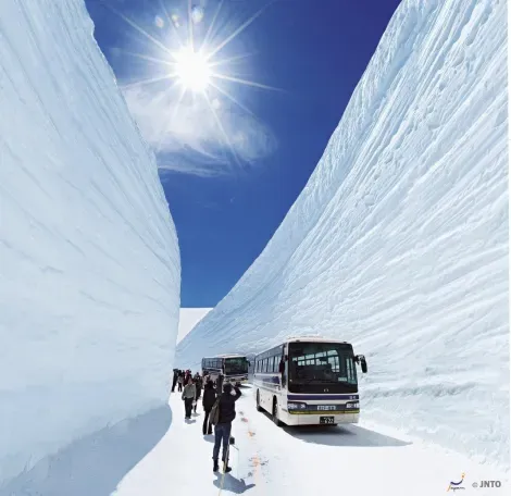Les murs de glace impressionnants de la Tateyama Kurobe Alpine Road
