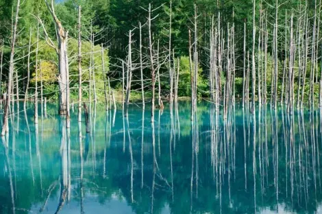 Biei Aoi ike, the blue pond