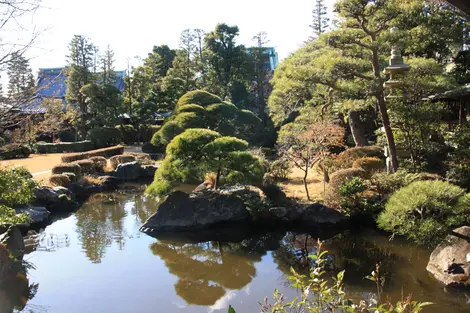 Le jardin Seuikei-en à Shibamata