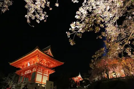 Hanami at Kiyomizu-dera, Kyoto