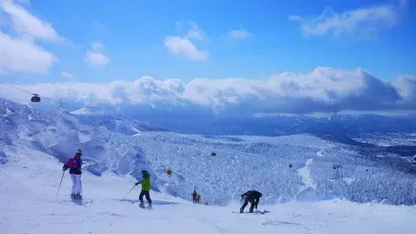 Vue des pistes de ski de la station Zao, préfecture de Yamagata.