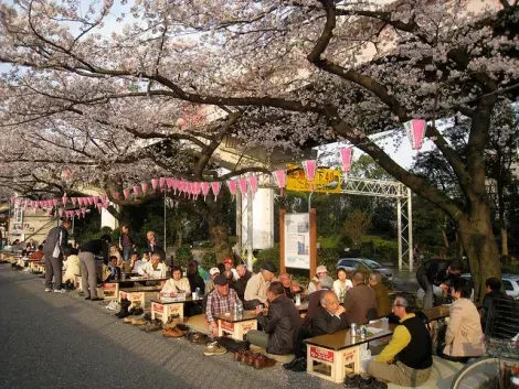 Divers stands de nourritures et de jeux s'alignent sous les arbres fleuris le long de la Sumida à tokyo
