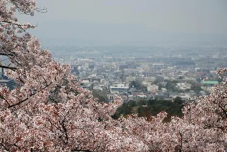 Vue depuis le mont Wakakusa, à l'extrémité Nord du Parc de Nara