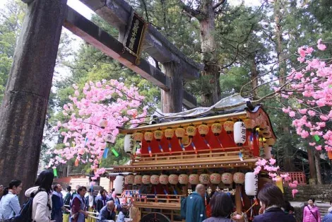 L'un des onze chars du Festival Yayoi, décorés de fleurs de cerisiers