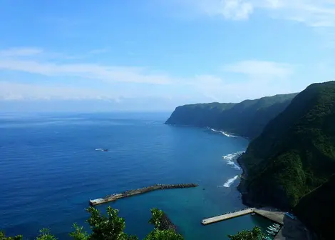 Vue de l'île Hachijôjima