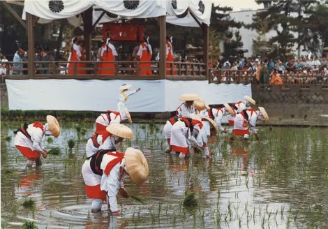 El festival de Otaue en Osaka celebra la siembra de arroz.