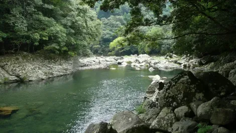 Aya est traversé par plusieurs rivières qui prennent leur source dans la forêt