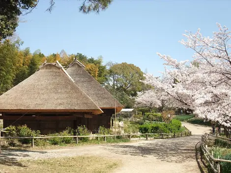 Musée ferme japonaise ryokuchi koen