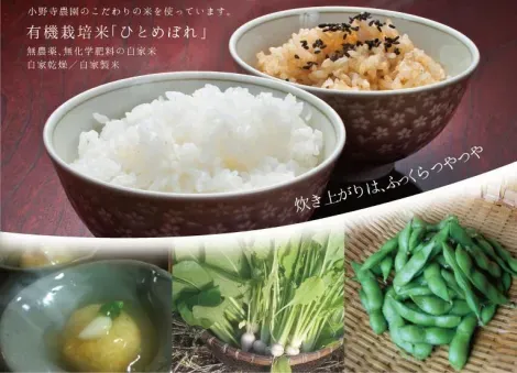 Quelques images des produits locaux au menu, dont le riz "hitomebore" et les edamame