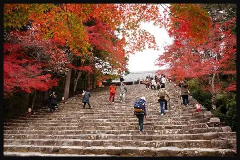 Les escaliers de pierre menant au temple Jingo-ji