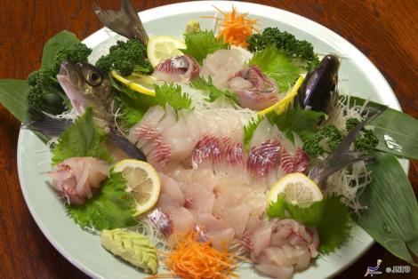 Trout sashimi