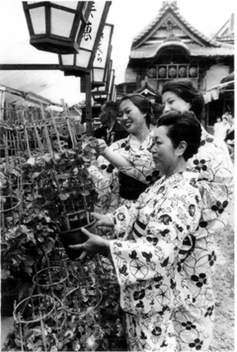 Le festival Iriya Asagao aux alentours des années 1940 (ère Showa).