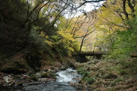La vallée de Taishaku, dans le parc quasi national de Hiba Dogo Taishaku, préfecture d'Hiroshima