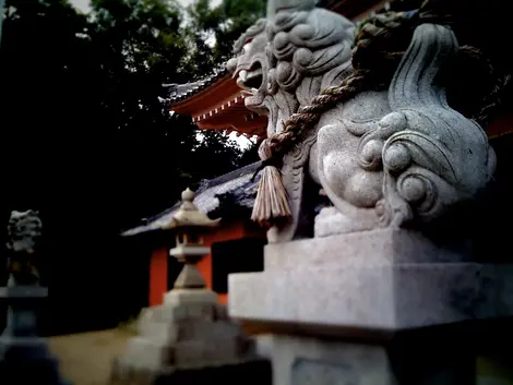 Komainu