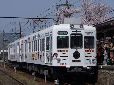  Wakayama Electric Railway "Tama Densha"