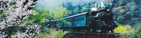 La locomotive à vapeur transporte les voyageurs dans la préfecture de Shizuoka