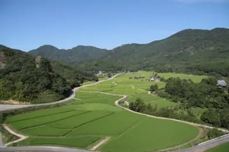 Le paysage du domaine de Tashibunosho, dans la péninsule de Kunisaki