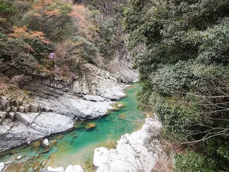 La vallée d'Iya (Shikoku)