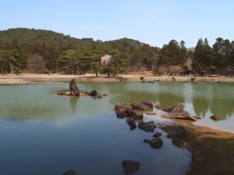 L'étang Oizumi ga ike du temple Motsuji, Hiraizumi