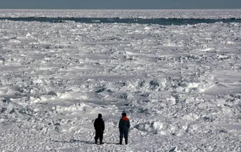 Deux hommes contemplant la mer de glace depuis la plage