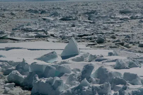 Ice Drift, la mer de glace d'Okhotsk