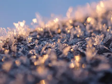 L'hiver au Japon