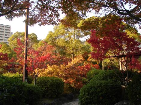 Jardin Sorakuen