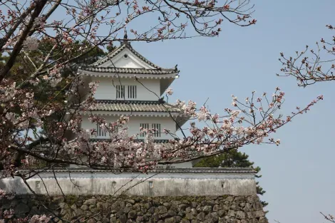 chateau sakura