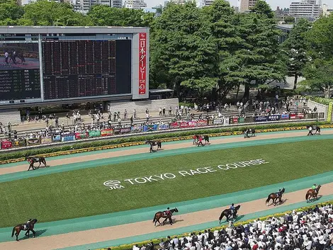 paddock-hippodrome-fuchu