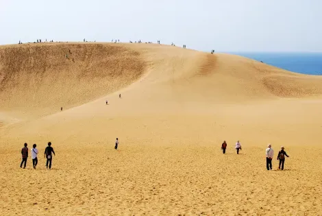Les dunes de Tottori