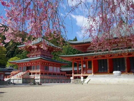 Le temple Enryaku-ji ,Ôtsu