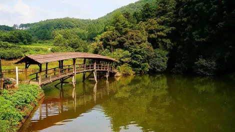 Pont Tamaru à Uchiko