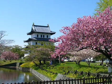 Le chateau de Matsumae