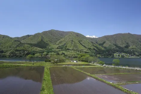 Rizières près du lac Kizaki