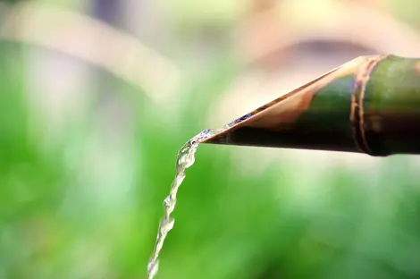 Les jardins japonais sont la représentation de l'harmonie