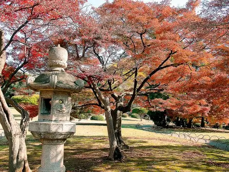 Shinjuku Gyoen