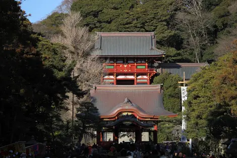Santuario Tsurugaoka Hachiman-gû, Kamakura