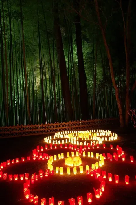 Illuminations lors du festival des pruniers de Mito