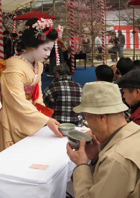 Cérémonie du thé servi par une maiko