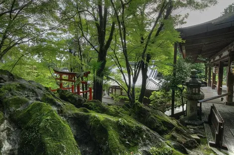 Ishiyama-dera