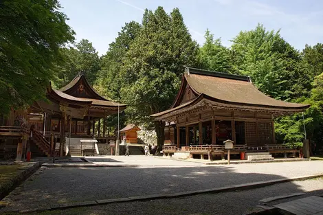 Hiyoshi-taisha