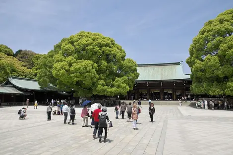 meiji-jingu