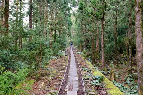 Yakushima