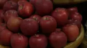 Aomori apples