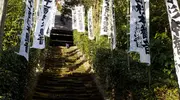 Los escalones cubiertos de musgo te llevan hasta el templo Sugimoto-dera