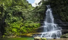 Waterfall into a pool below surrounded by plants and trees.