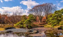 Pond with stone lantern on the edge and trees in the background