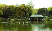 La maison de thé Ryo-tei, située sur l'une des trois îlots du jardin Kiyosumi Koen à Tokyo.