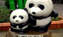 El zoológico de Ueno, primero en recibir una pareja de pandas chinos.