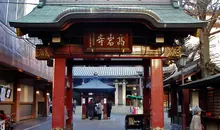 El templo budista Koganji es particularmente famoso por su estatua de Togenuki Jizo.